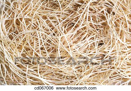 abundant, detail, Close-up, background, abundance View Large Photo Image Stock Photograph - abundant, detail, Close-up, background, abundance. Fotosearch