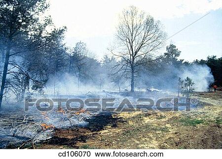 aftermath, day, consequence, catastrophe, After-effect View Large Photo Image Stock Image - aftermath, day, consequence, catastrophe, After-effect. Fotosearch