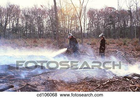 aftermath, day, country, consequence, After-effect View Large Photo Image Stock Photo - aftermath, day, country, consequence, After-effect. Fotosearch