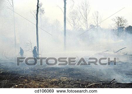 aftermath, day, country, consequence, After-effect View Large Photo Image Stock Photo - aftermath, day, country, consequence, After-effect. Fotosearch
