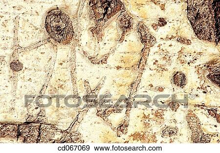 aged, detail, Close-up, background, abstract View Large Photo Image Stock Photo - aged, detail, Close-up, background, abstract. Fotosearch
