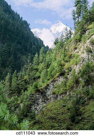 Annapurna circuit. Nepal View Large Photo Image Stock Image - Annapurna circuit. Nepal. Fotosearch