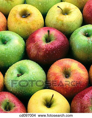 Apples View Large Photo Image Picture - Apples. Fotosearch