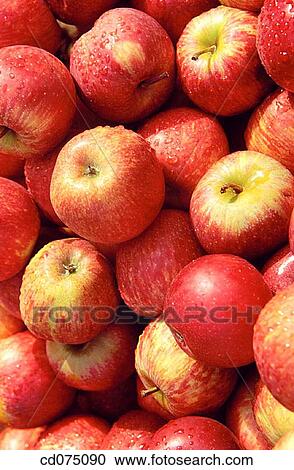 Stock Image - Apples. Fotosearch
