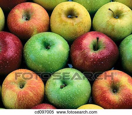 Apples View Large Photo Image Stock Photography - Apples. Fotosearch