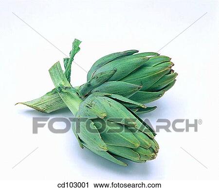 Artichokes View Large Photo Image Stock Image - Artichokes. Fotosearch