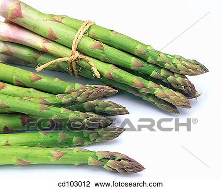 Asparagus View Large Photo Image Stock Image - Asparagus. Fotosearch