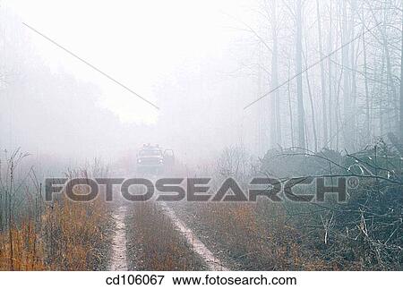 automobile, catch, catastrophe, car, 4x4 View Large Photo Image Stock Photo - automobile, catch, catastrophe, car, 4x4. Fotosearch