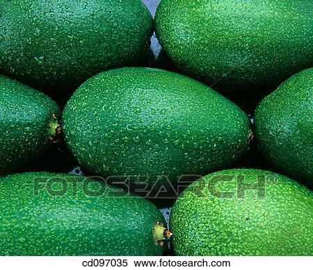 Avocado pears View Large Photo Image Stock Photography - Avocado pears. Fotosearch