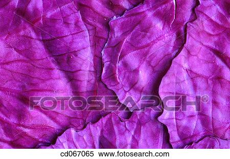 Stock Photography - background, detail, Close-up, abstract. Fotosearch