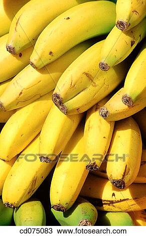 Bananas View Large Photo Image Stock Image - Bananas. Fotosearch