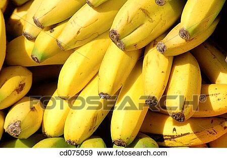 Bananas View Large Photo Image Stock Photo - Bananas. Fotosearch