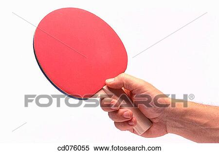 bat, concept, clipping path, amusement View Large Photo Image Stock Photography - bat, concept, clipping path, amusement. Fotosearch