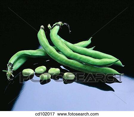 Beans View Large Photo Image Stock Photo - Beans. Fotosearch