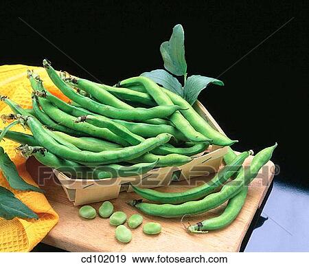 Beans View Large Photo Image Stock Photo - Beans. Fotosearch