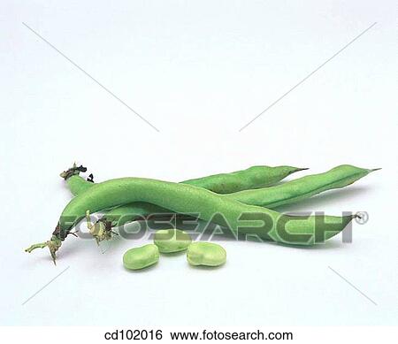 Beans View Large Photo Image Stock Photograph - Beans. Fotosearch