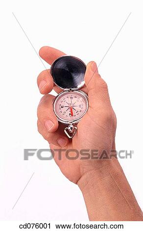 bearing, Close-up, clipping path, adventure View Large Photo Image Stock Image - bearing, Close-up, clipping path, adventure. Fotosearch