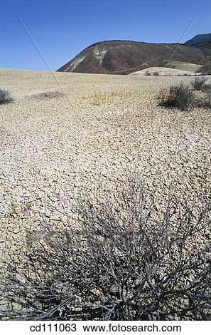 Bentonite clay hills. John Day Fossil Beds National Monument. Oregon. USA View Large Photo Image Stock Image - Bentonite clay hills. John Day Fossil Beds National Monument. Oregon. USA. Fotosearch