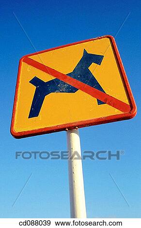 blue, Close-up, concept, day, dog View Large Photo Image Stock Photo - blue, Close-up, concept, day, dog. Fotosearch