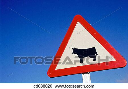 blue, danger, concept, Close-up, agriculture View Large Photo Image Stock Image - blue, danger, concept, Close-up, agriculture. Fotosearch