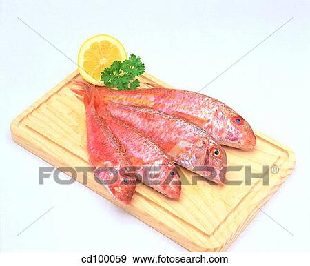 Blue-lined goatfish, Close-up, cuisine, fish View Large Photo Image Stock Photo - Blue-lined goatfish, Close-up, cuisine, fish. Fotosearch