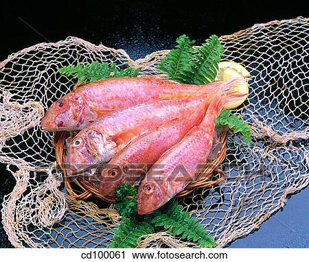 board, Chopping-board, Close-up, cloth, cuisine View Large Photo Image Stock Image - board, Chopping-board, Close-up, cloth, cuisine. Fotosearch