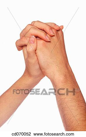 bond, bonding, Close-up, companion, complicity View Large Photo Image Stock Image - bond, bonding, Close-up, companion, complicity. Fotosearch