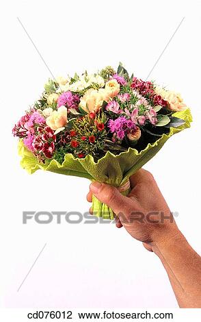 bouquet, clipping path, Close-up, concept, detail View Large Photo Image Stock Image - bouquet, clipping path, Close-up, concept, detail. Fotosearch