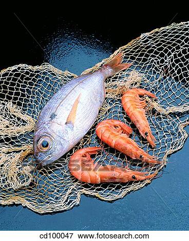 Bream, Close-up, cuisine, fish, food View Large Photo Image Stock Photo - Bream, Close-up, cuisine, fish, food. Fotosearch