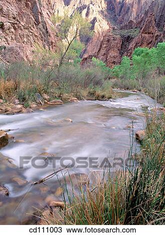 Bright Angel Creek. Grand Canyon National Park. Arizona. USA View Large Photo Image Stock Image - Bright Angel Creek. Grand Canyon National Park. Arizona. USA. Fotosearch