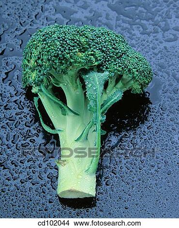 Broccoli View Large Photo Image Picture - Broccoli. Fotosearch