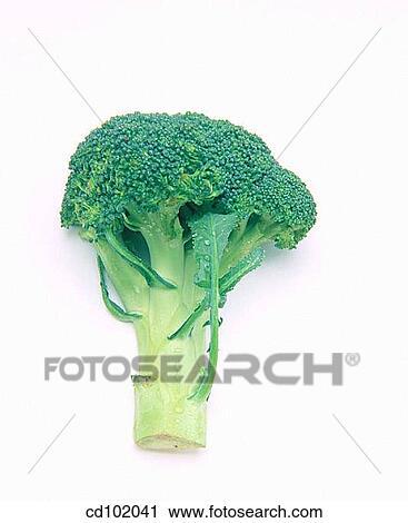 Broccoli View Large Photo Image Stock Image - Broccoli. Fotosearch