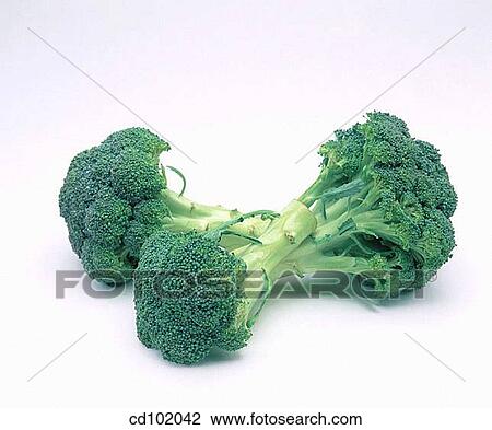 Broccolis View Large Photo Image Stock Image - Broccolis. Fotosearch
