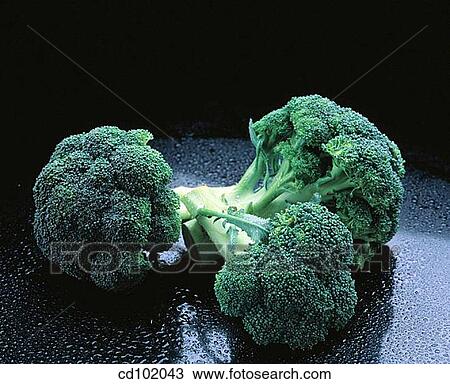Broccolis View Large Photo Image Stock Image - Broccolis. Fotosearch