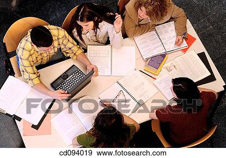 brunette, adolescence, boy, attentive, attention, activity View Large Photo Image Stock Photo - brunette, adolescence, boy, attentive, attention, activity. Fotosearch