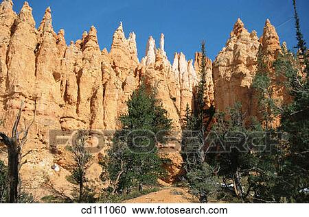 Bryce Canyon National Park. Utah. USA View Large Photo Image Stock Image - Bryce Canyon National Park. Utah. USA. Fotosearch