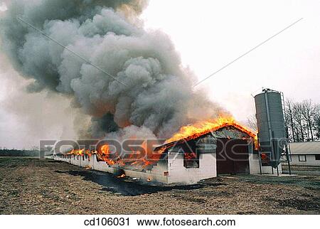 Stock Image - burning, catastrophe, country, danger, day. Fotosearch
