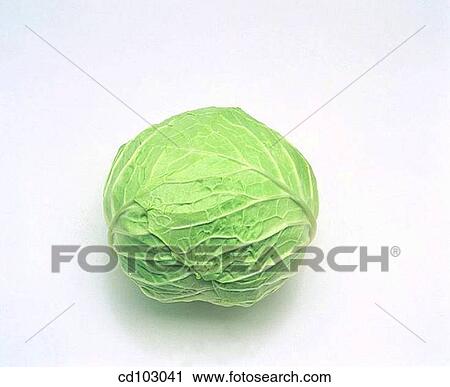 Cabbage View Large Photo Image Stock Image - Cabbage. Fotosearch