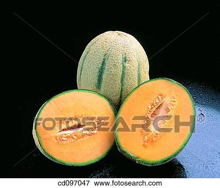 Cantaloupes View Large Photo Image Stock Photo - Cantaloupes. Fotosearch