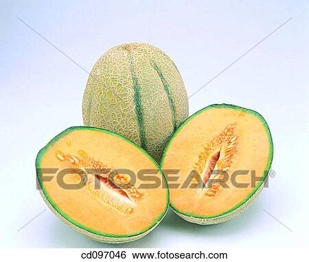 Cantaloupes View Large Photo Image Stock Photograph - Cantaloupes. Fotosearch