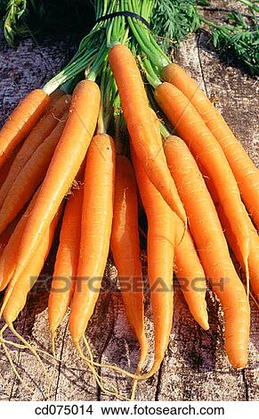 Carrots View Large Photo Image Picture - Carrots. Fotosearch