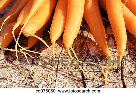 Carrots View Large Photo Image Stock Image - Carrots. Fotosearch