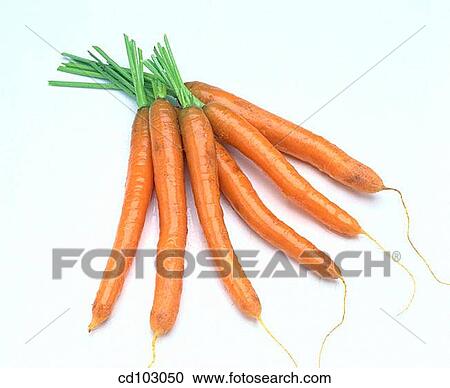 Carrots View Large Photo Image Stock Image - Carrots. Fotosearch
