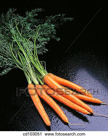 Carrots View Large Photo Image Stock Image - Carrots. Fotosearch
