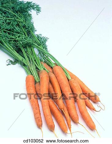 Carrots View Large Photo Image Stock Image - Carrots. Fotosearch