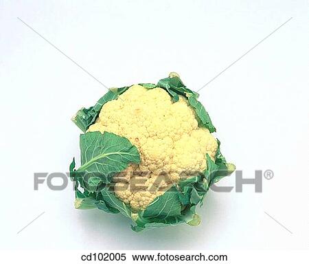 Cauliflower View Large Photo Image Stock Photography - Cauliflower. Fotosearch