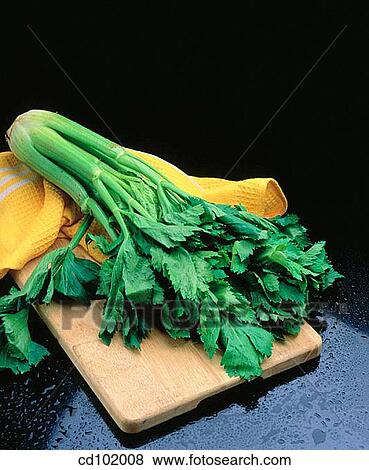 Celery View Large Photo Image Stock Photo - Celery. Fotosearch
