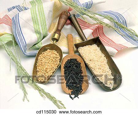 cereals, Close-up, ear, food, grain View Large Photo Image Stock Image - cereals, Close-up, ear, food, grain. Fotosearch