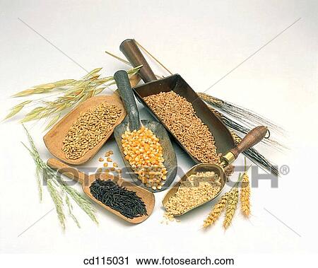 cereals, Close-up, ear, food, grain View Large Photo Image Stock Image - cereals, Close-up, ear, food, grain. Fotosearch