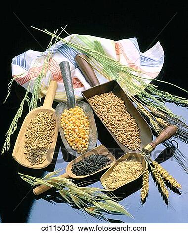 Stock Image - cereals, Close-up, ear, food, grain. Fotosearch